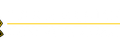 The American Business Awards®